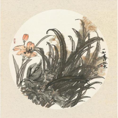 王娜娜《水仙花》