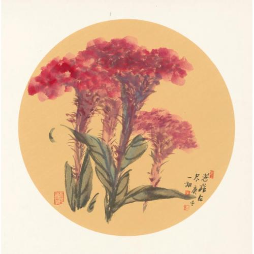 王娜娜《芳菲占尽》