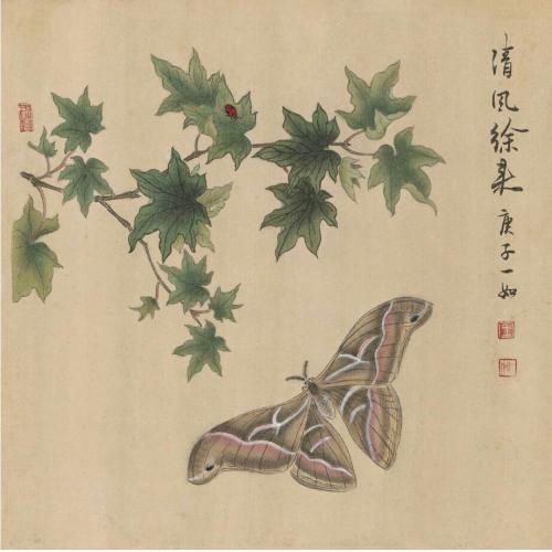 王娜娜《清风徐来》
