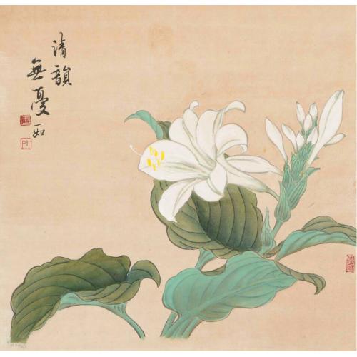 王娜娜《清韵》