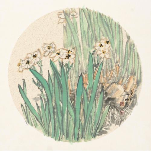 王娜娜《水仙花》