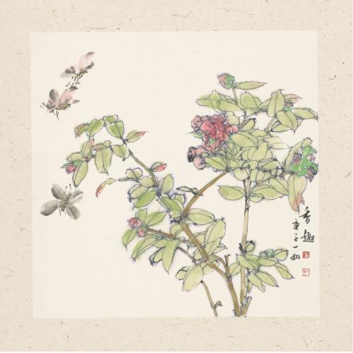 王娜娜《香趣》