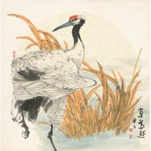 王娜娜《肖逸》