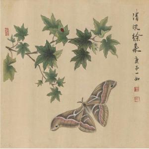 王娜娜《清风徐来》