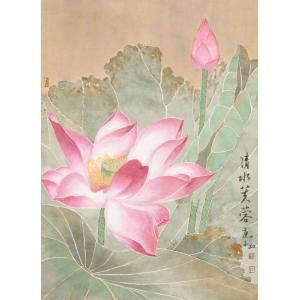王娜娜《清水芙蓉》