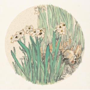 王娜娜《水仙花》