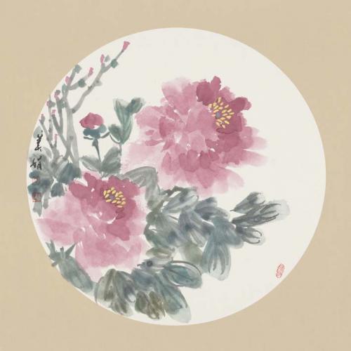 常美娟《牡丹》