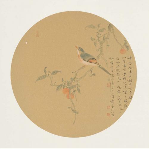 孔庆华《惜幽春鸟》