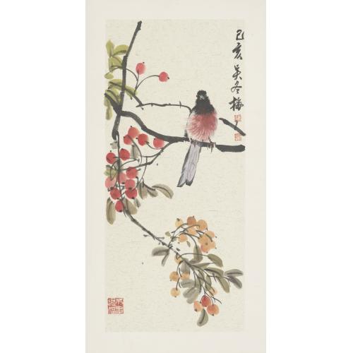 吴冬梅《枇杷小鸟》
