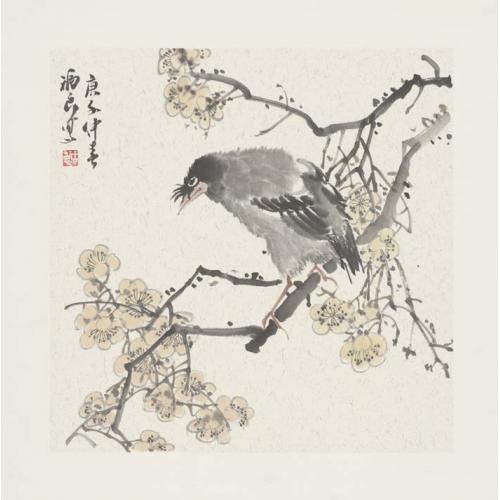 福良  《杏花八哥》