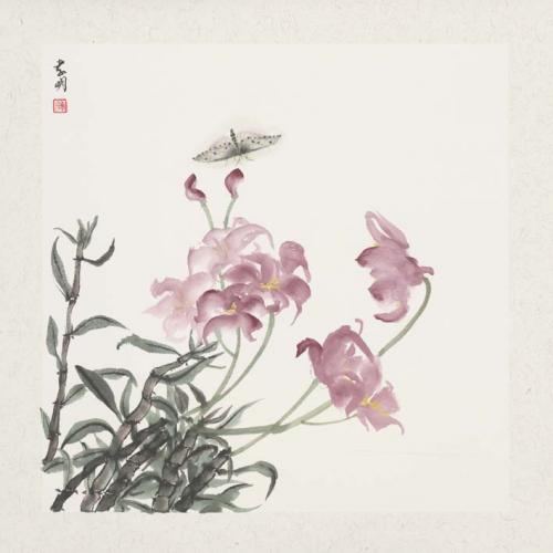 龚孝明 《蝴蝶花蝴蝶》