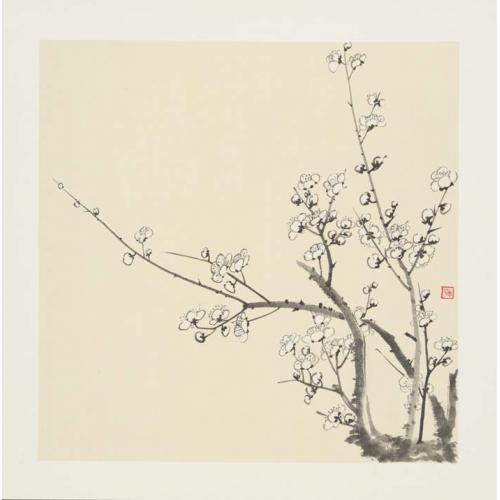 龚孝明 《白梅花2》