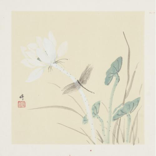 文婷《荷花蜻蜓》