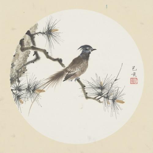 文婷《松树长尾小鸟》