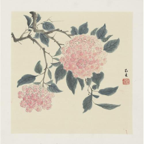 文婷《大粉花》