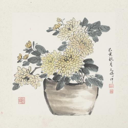 文婷《菊花》