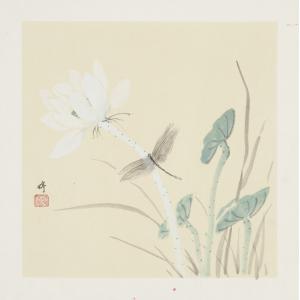 文婷《荷花蜻蜓》