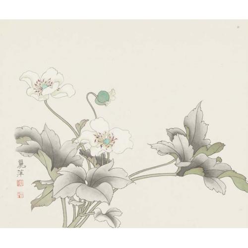 黄丽萍《两朵大白花》