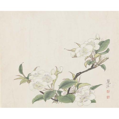 黄丽萍《白花绿叶》
