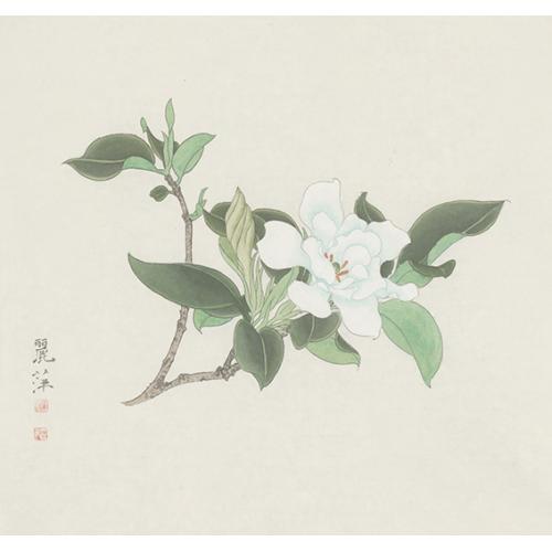 黄丽萍《白花绿叶》