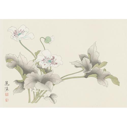 黄丽萍《白花灰叶绿径》