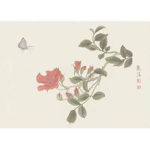 黄丽萍《蝴蝶红花》