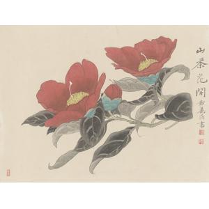 黄丽萍《山茶花开》