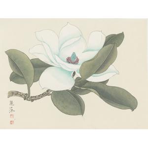 黄丽萍《大白花绿叶》